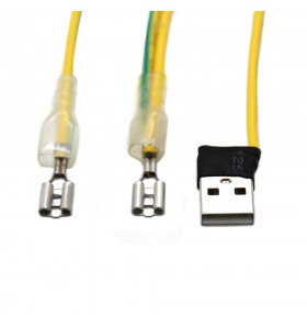 250 type terminal to usb male and 250 male terminal wire